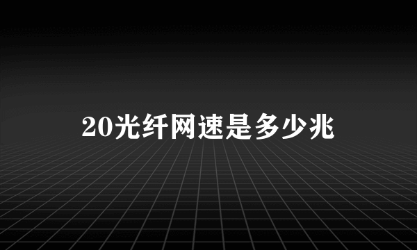 20光纤网速是多少兆