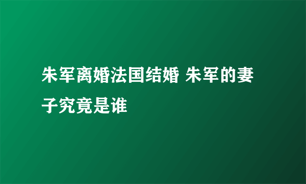 朱军离婚法国结婚 朱军的妻子究竟是谁