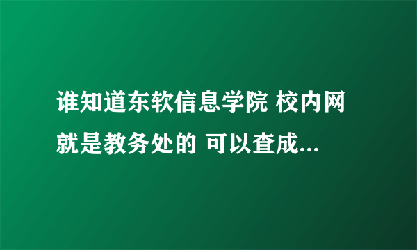 谁知道东软信息学院 校内网 就是教务处的 可以查成绩的内个网站