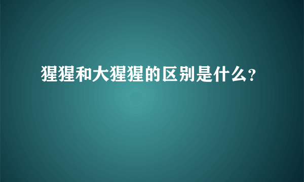 猩猩和大猩猩的区别是什么？