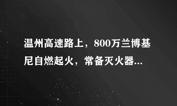 温州高速路上，800万兰博基尼自燃起火，常备灭火器确保人身安全,你怎么看？