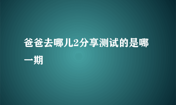 爸爸去哪儿2分享测试的是哪一期