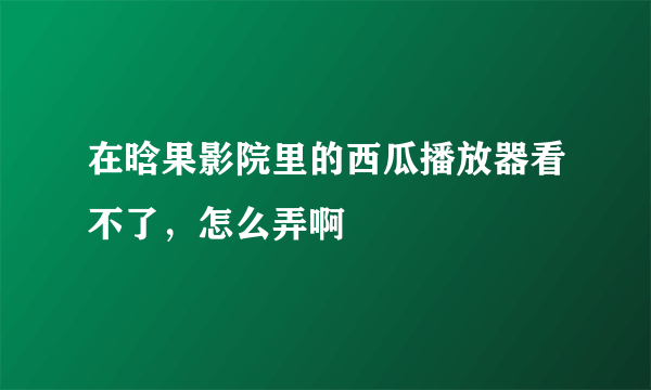 在晗果影院里的西瓜播放器看不了，怎么弄啊