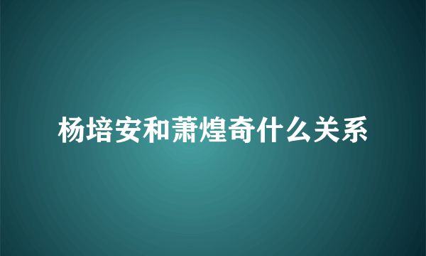 杨培安和萧煌奇什么关系