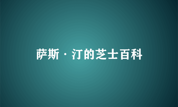 萨斯·汀的芝士百科