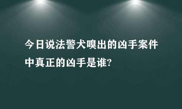 今日说法警犬嗅出的凶手案件中真正的凶手是谁?