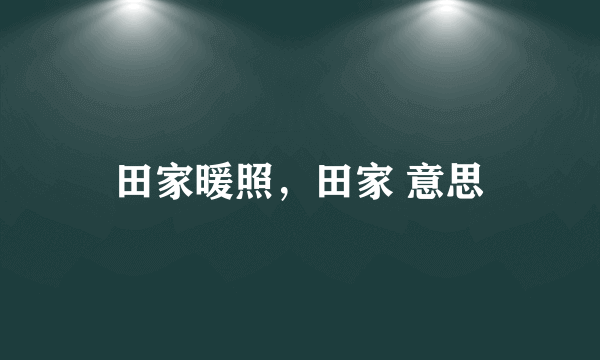 田家暖照，田家 意思