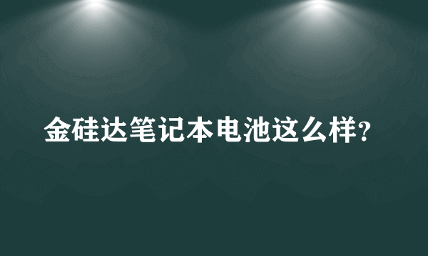 金硅达笔记本电池这么样？