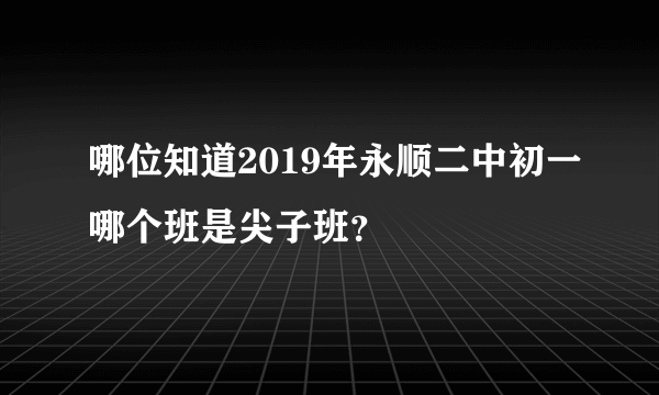 哪位知道2019年永顺二中初一哪个班是尖子班？