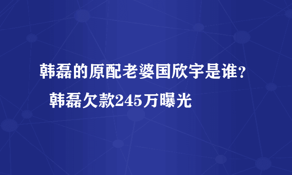 韩磊的原配老婆国欣宇是谁？  韩磊欠款245万曝光