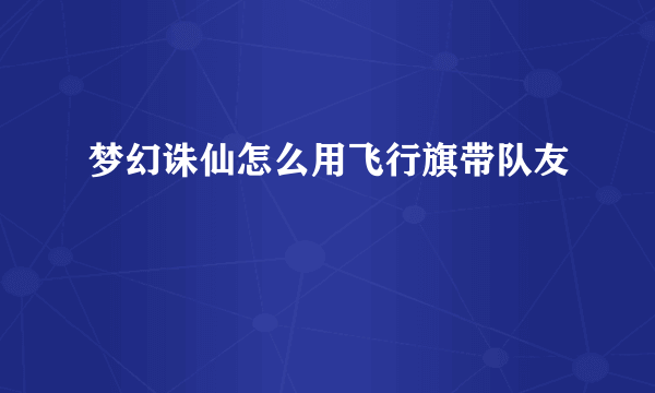 梦幻诛仙怎么用飞行旗带队友