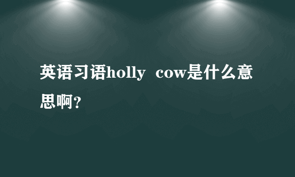 英语习语holly  cow是什么意思啊？