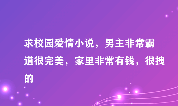 求校园爱情小说，男主非常霸道很完美，家里非常有钱，很拽的