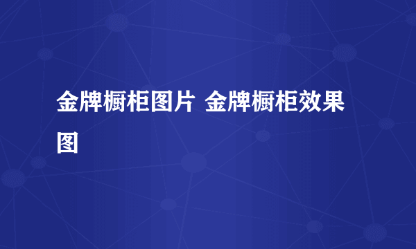 金牌橱柜图片 金牌橱柜效果图