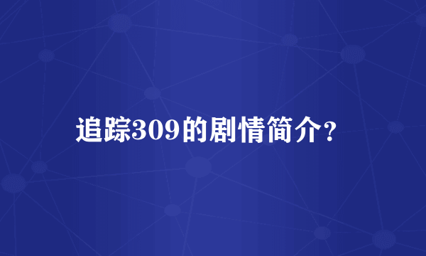 追踪309的剧情简介？