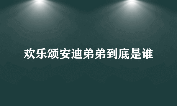 欢乐颂安迪弟弟到底是谁