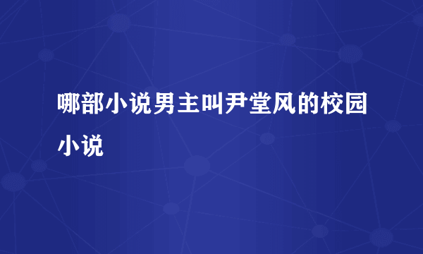 哪部小说男主叫尹堂风的校园小说