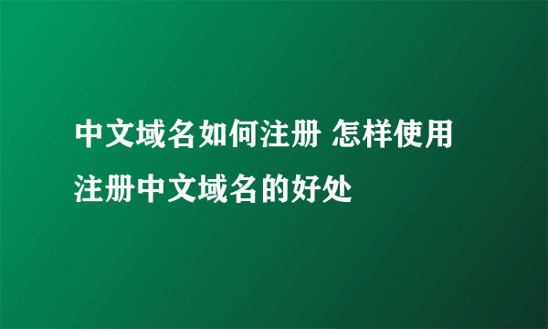 中文域名如何注册 怎样使用 注册中文域名的好处