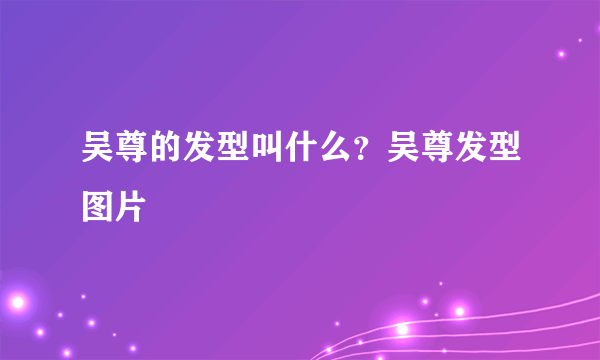 吴尊的发型叫什么？吴尊发型图片