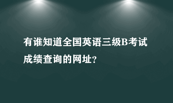 有谁知道全国英语三级B考试成绩查询的网址？