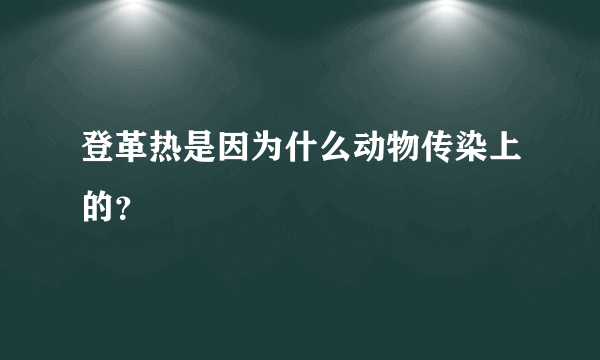 登革热是因为什么动物传染上的？