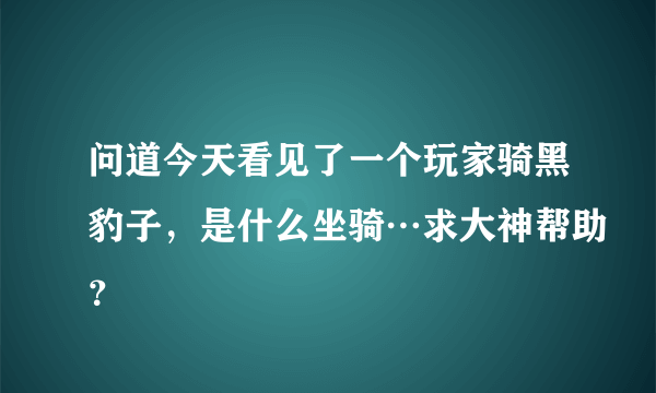 问道今天看见了一个玩家骑黑豹子，是什么坐骑…求大神帮助？