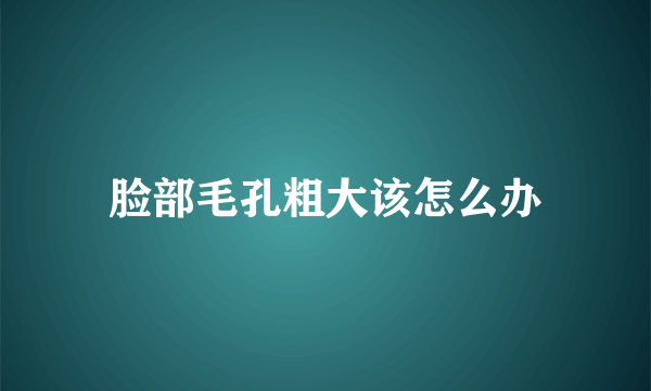 脸部毛孔粗大该怎么办