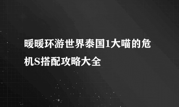 暖暖环游世界泰国1大喵的危机S搭配攻略大全