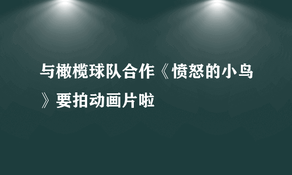 与橄榄球队合作《愤怒的小鸟》要拍动画片啦