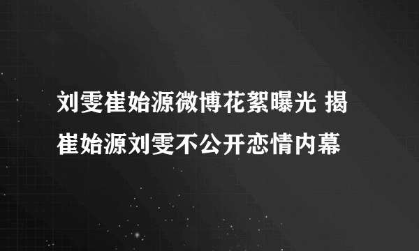 刘雯崔始源微博花絮曝光 揭崔始源刘雯不公开恋情内幕