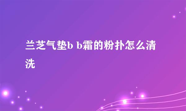 兰芝气垫b b霜的粉扑怎么清洗