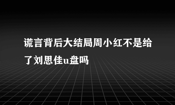 谎言背后大结局周小红不是给了刘思佳u盘吗