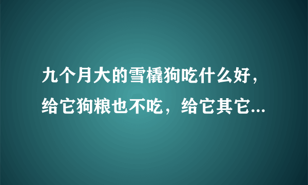 九个月大的雪橇狗吃什么好，给它狗粮也不吃，给它其它的食物它也不吃，不知道怎么办好