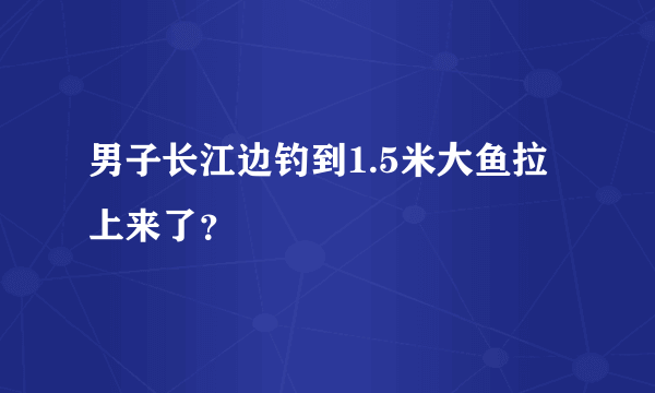 男子长江边钓到1.5米大鱼拉上来了？