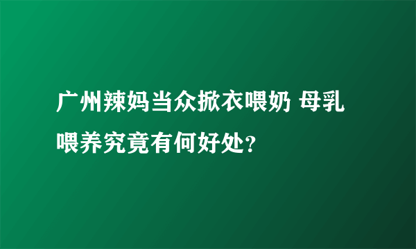 广州辣妈当众掀衣喂奶 母乳喂养究竟有何好处？