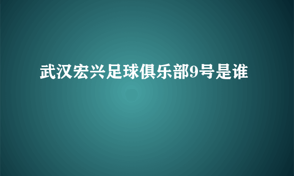 武汉宏兴足球俱乐部9号是谁