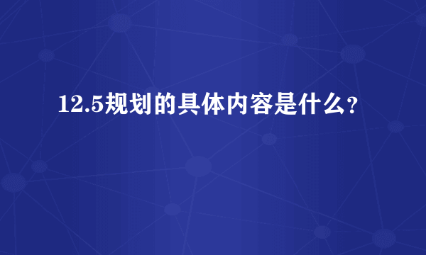 12.5规划的具体内容是什么？