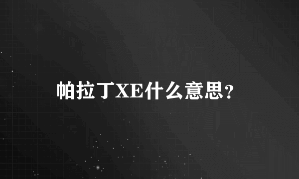 帕拉丁XE什么意思？