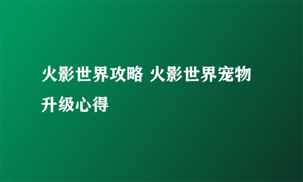 火影世界攻略 火影世界宠物升级心得