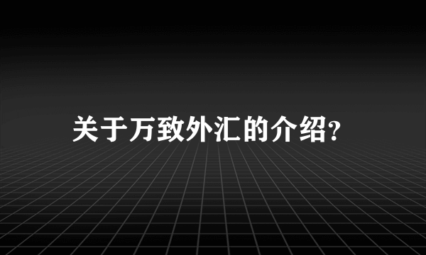 关于万致外汇的介绍？