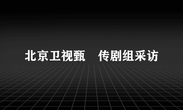 北京卫视甄嬛传剧组采访