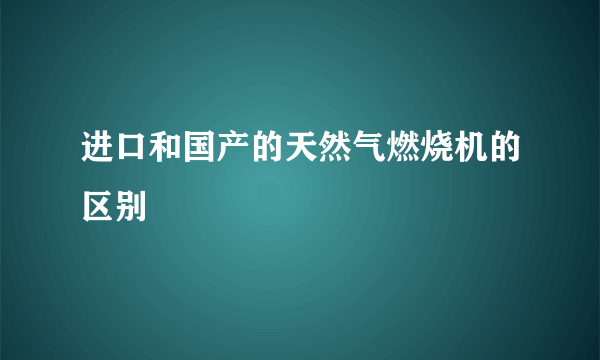 进口和国产的天然气燃烧机的区别