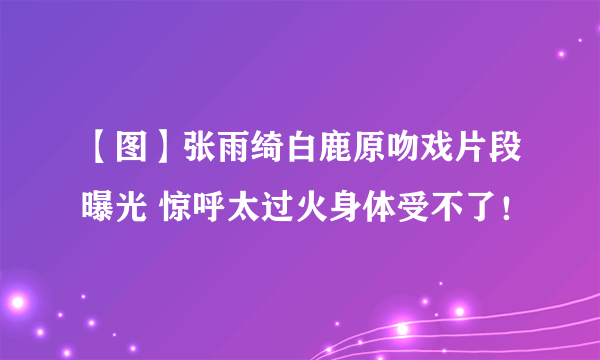 【图】张雨绮白鹿原吻戏片段曝光 惊呼太过火身体受不了！