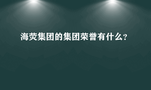 海荧集团的集团荣誉有什么？