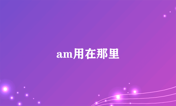 am用在那里