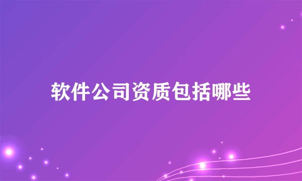 软件公司资质包括哪些