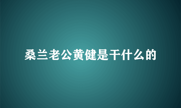 桑兰老公黄健是干什么的