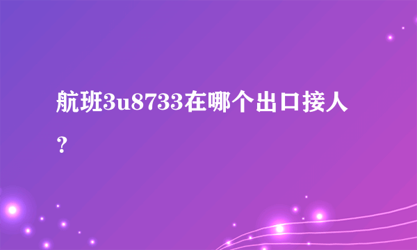 航班3u8733在哪个出口接人？