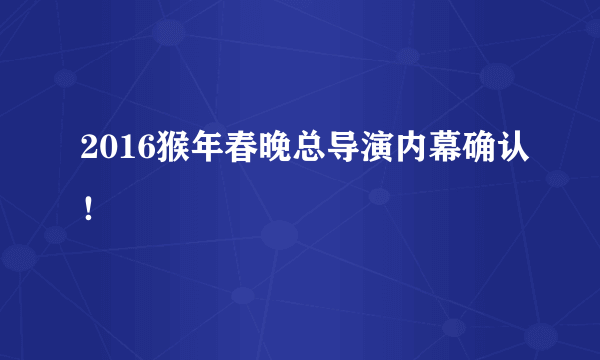 2016猴年春晚总导演内幕确认！