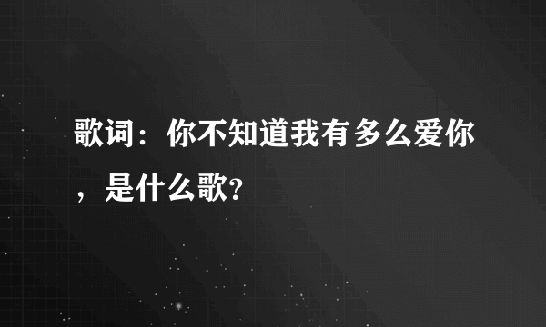 歌词：你不知道我有多么爱你，是什么歌？